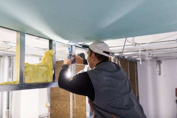 Best DIY Insulation Kits and Guidance in Dearborn, MI