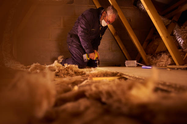 Types of Insulation We Offer in Dearborn, MI